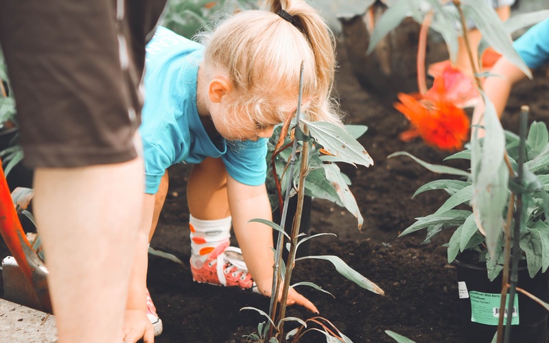 Volunteering is a great way to teach children different ways of practicing gratitude and giving back to their community.