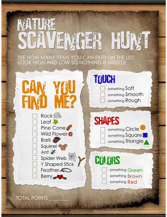 nature scavenger hunt