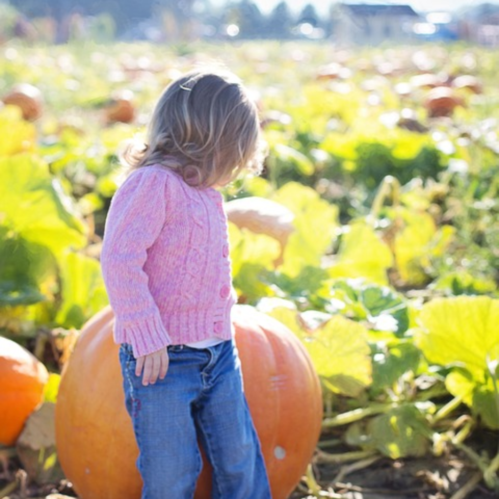 Fall Fun Activities for Kids with Romp n' Roll