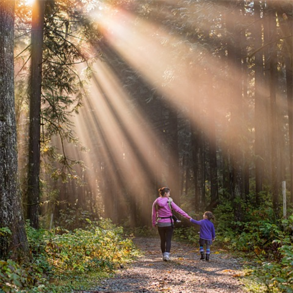 play in forest